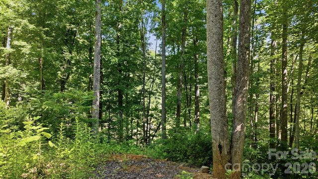 618 Dark Ridge Road, Sylva, NC 28779