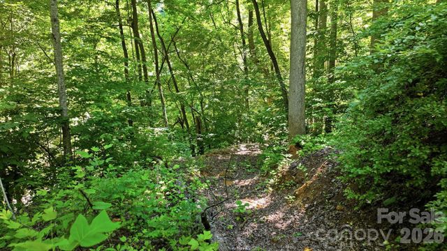 618 Dark Ridge Road, Sylva, NC 28779