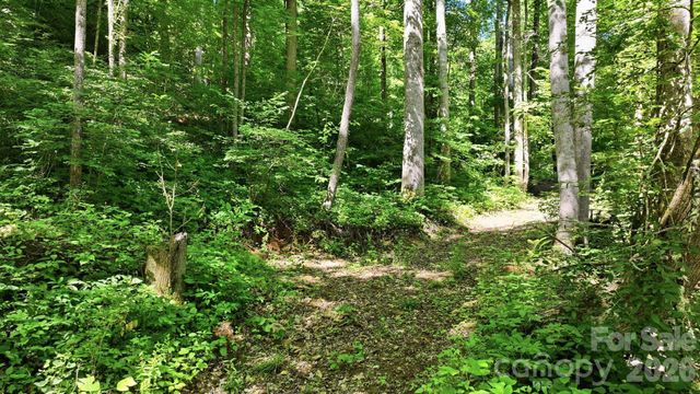 618 Dark Ridge Road, Sylva, NC 28779