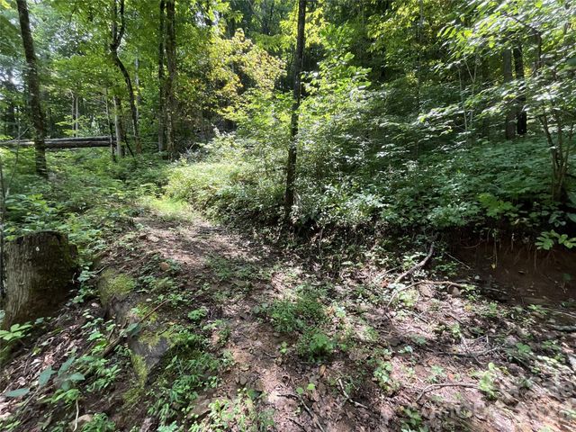 618 Dark Ridge Road, Sylva, NC 28779