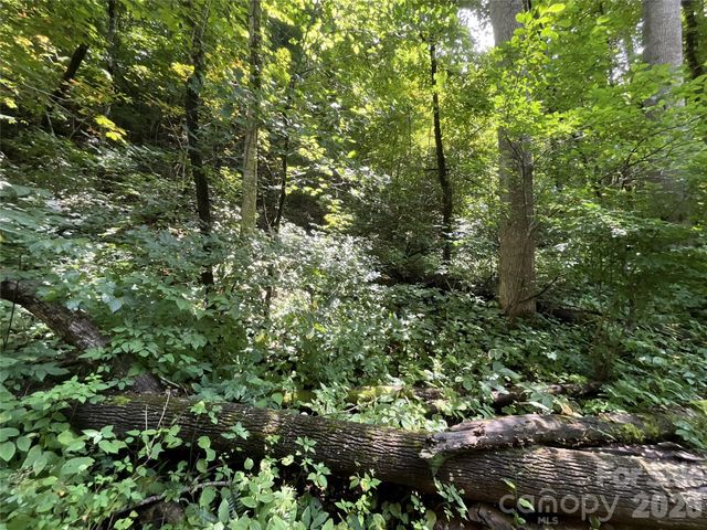 618 Dark Ridge Road, Sylva, NC 28779