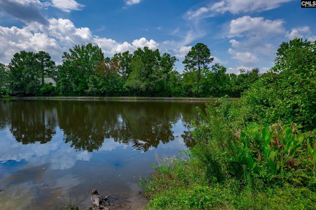 215 Village Walk, Columbia, SC 29209