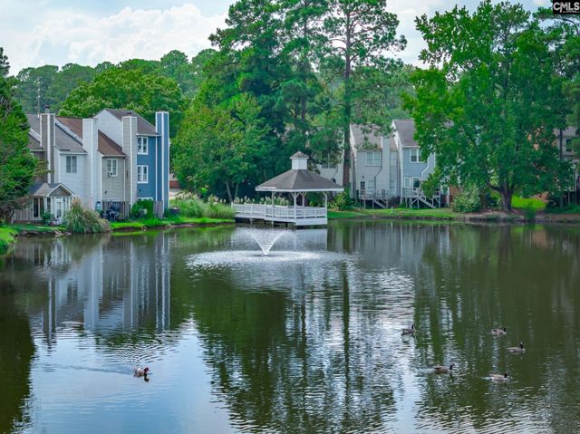 215 Village Walk, Columbia, SC 29209