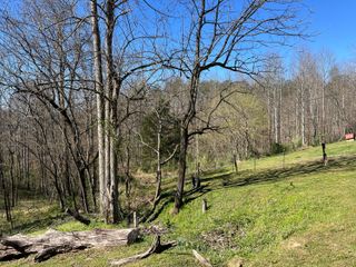 617 Walk Log Branch Road, Beattyville, KY 41311