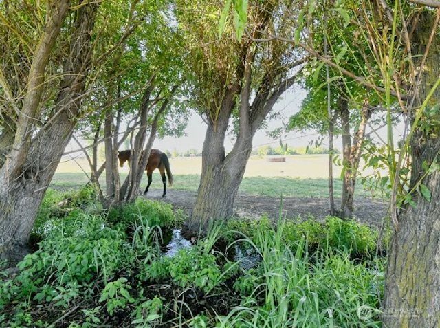 154 Dreamscape Rd., Walla Walla, WA 99362