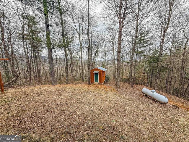 513 Coleman Heights, Rabun Gap, GA 30568