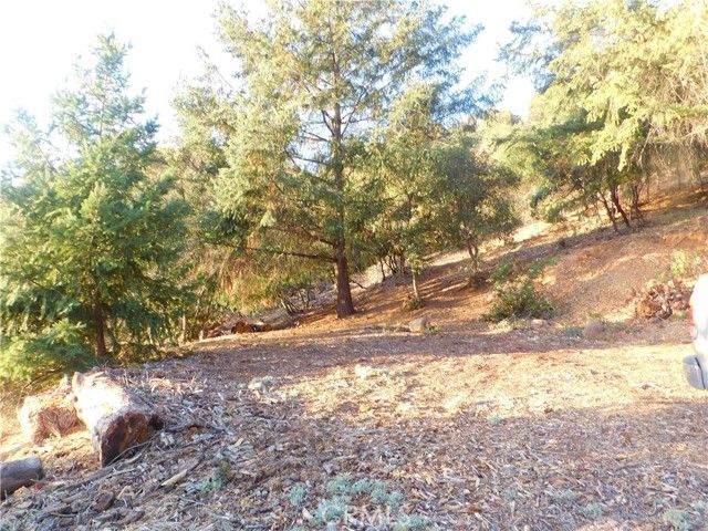 8431 Mountain Crest Drive, Kelseyville, CA 95451