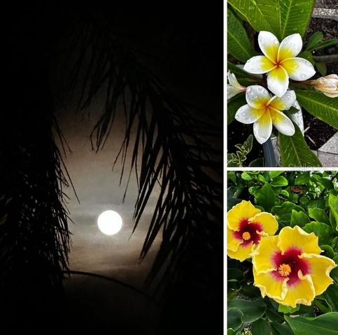 10315 CORTEZ ROAD W 26J, Bradenton, FL 34210