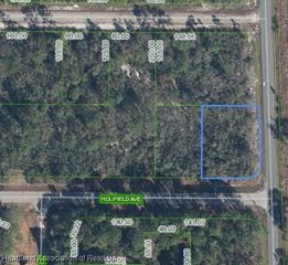 3101 Holifield Avenue, Lake Placid, FL 33852