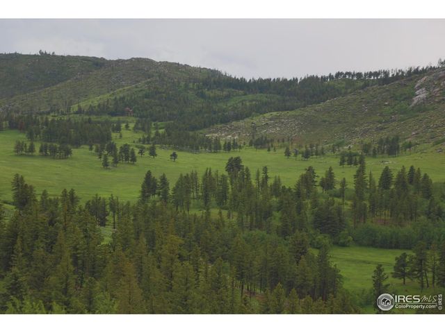 14884 Rist Canyon Rd, Bellvue, CO 80512