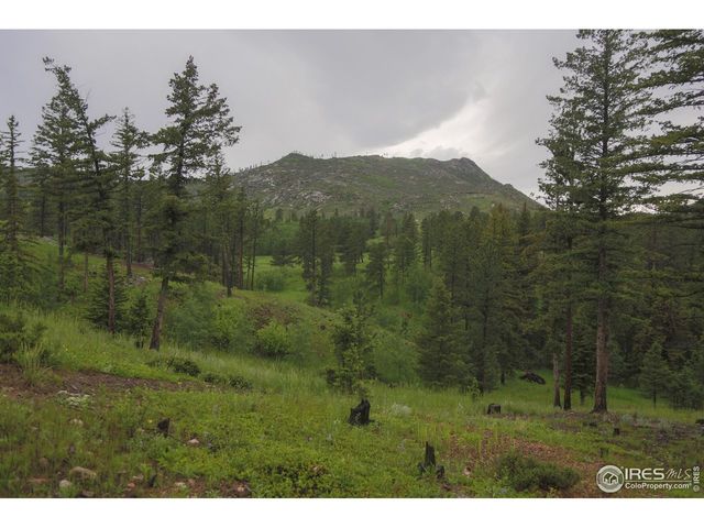 14884 Rist Canyon Rd, Bellvue, CO 80512