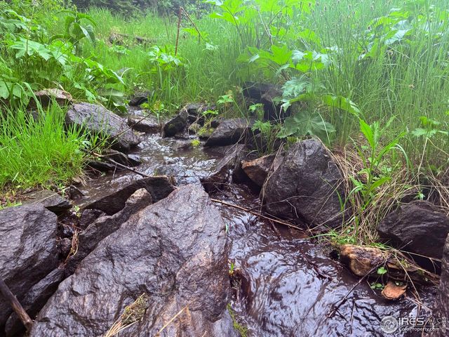 14884 Rist Canyon Rd, Bellvue, CO 80512