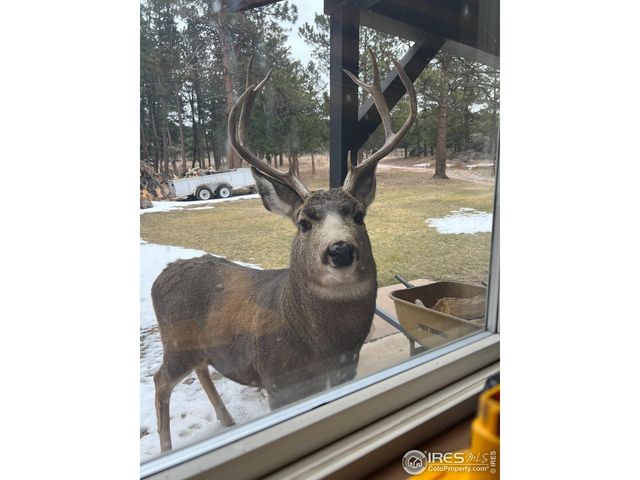 14884 Rist Canyon Rd, Bellvue, CO 80512