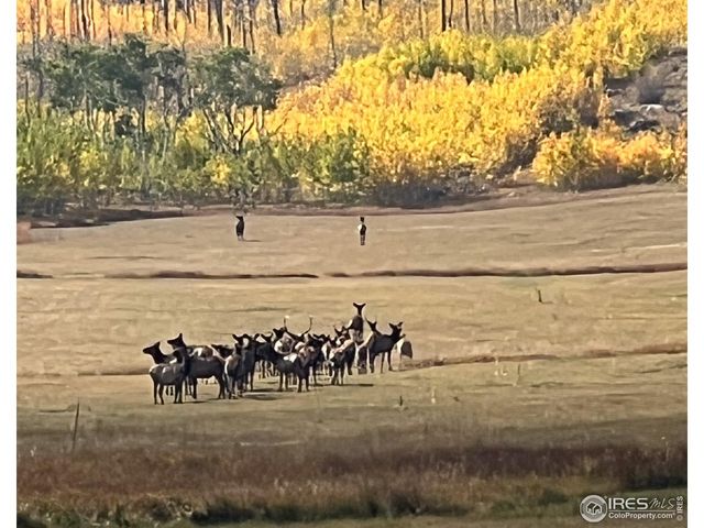 14884 Rist Canyon Rd, Bellvue, CO 80512