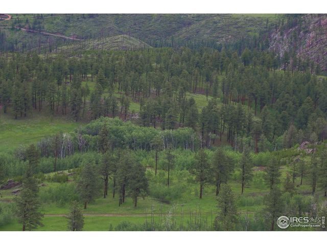 14884 Rist Canyon Rd, Bellvue, CO 80512
