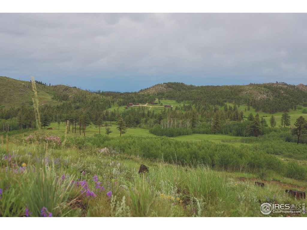 14884 Rist Canyon Rd, Bellvue, CO 80512