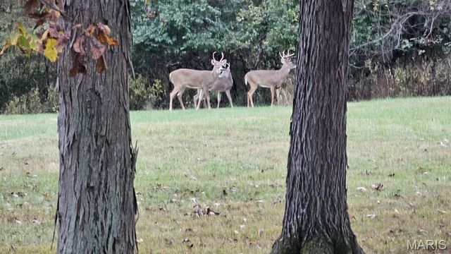 3530 Swaying Oaks Lane, O'fallon, MO 63385