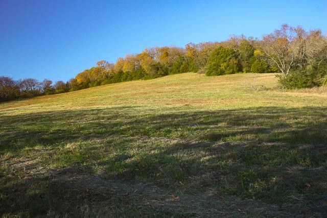 0 Peytonsville Rd, Franklin, TN 37064