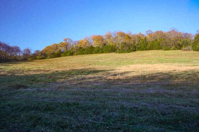 0 Peytonsville Rd, Franklin, TN 37064