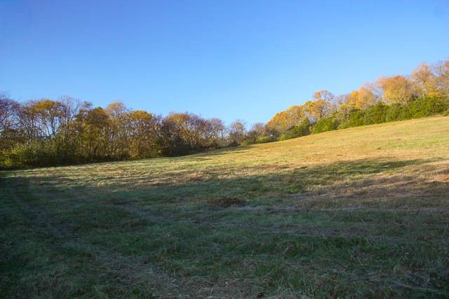 0 Peytonsville Rd, Franklin, TN 37064