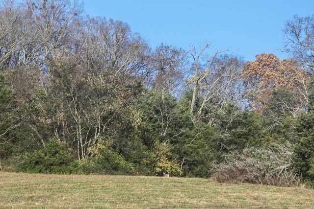 0 Peytonsville Rd, Franklin, TN 37064