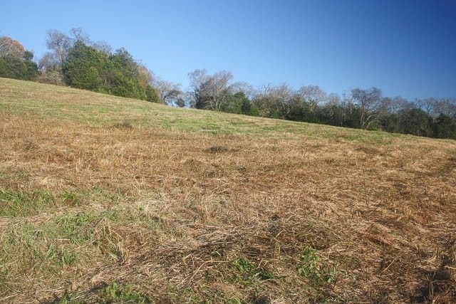 0 Peytonsville Rd, Franklin, TN 37064