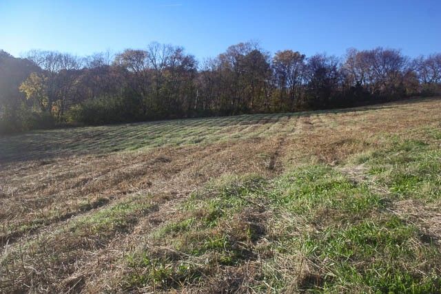 0 Peytonsville Rd, Franklin, TN 37064