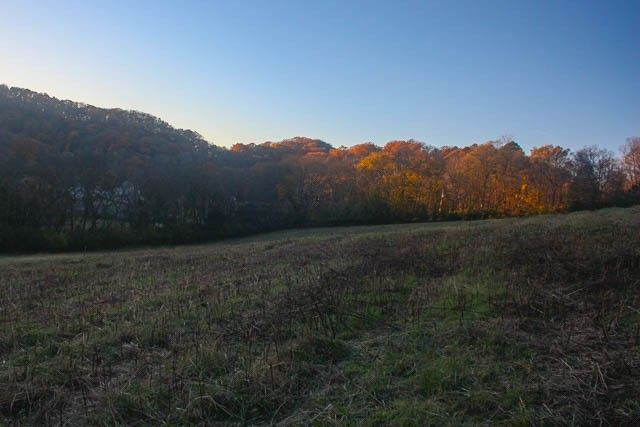 0 Peytonsville Rd, Franklin, TN 37064