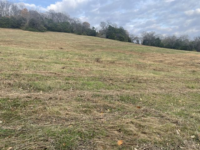 0 Peytonsville Rd, Franklin, TN 37064