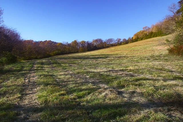 0 Peytonsville Rd, Franklin, TN 37064