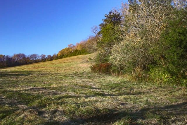 0 Peytonsville Rd, Franklin, TN 37064