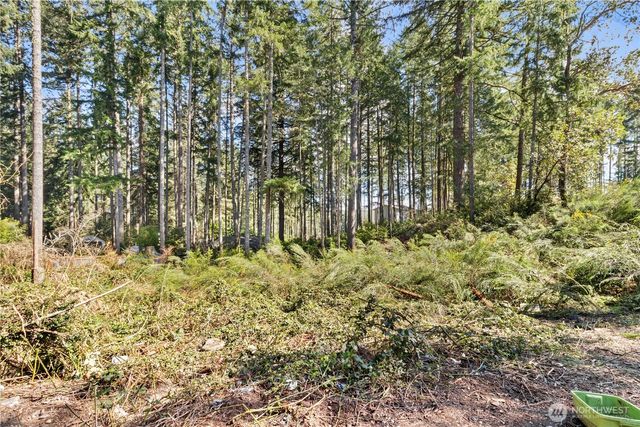 19025 SW 23rd St, Lakebay, WA 98349