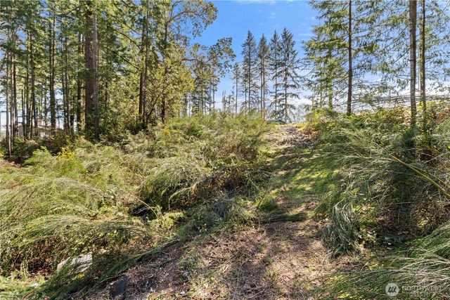 19025 SW 23rd St, Lakebay, WA 98349
