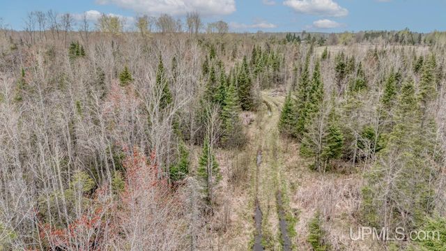TBD June Road, Trenary, MI 49878