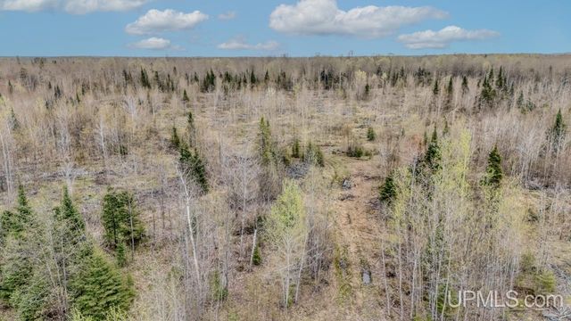 TBD June Road, Trenary, MI 49878