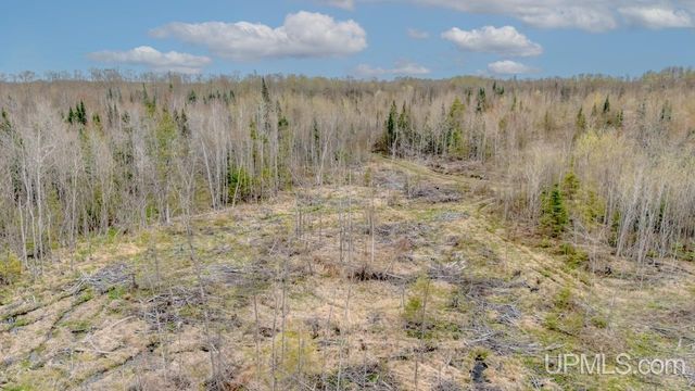 TBD June Road, Trenary, MI 49878