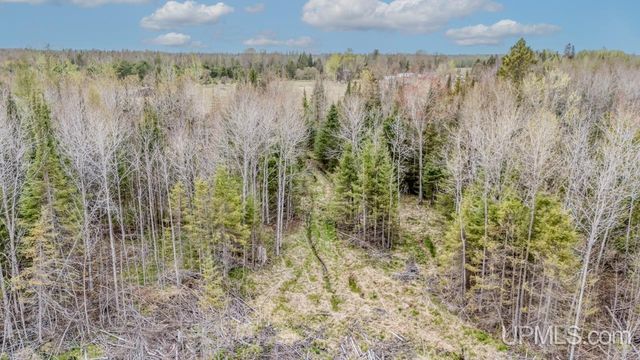 TBD June Road, Trenary, MI 49878