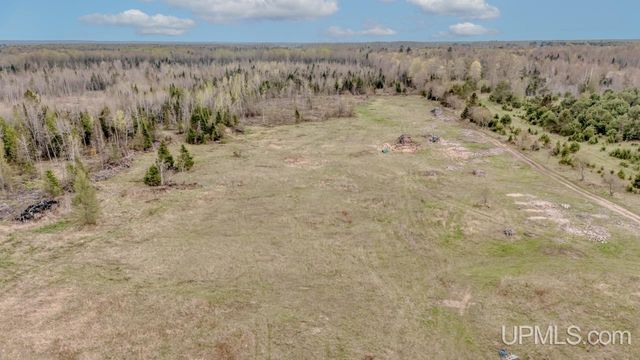 TBD June Road, Trenary, MI 49878