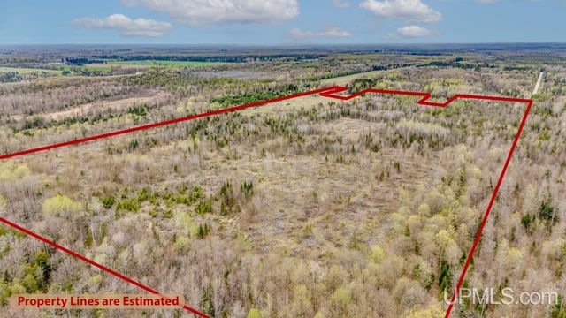 TBD June Road, Trenary, MI 49878