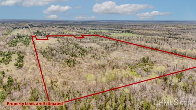 TBD June Road, Trenary, MI 49878