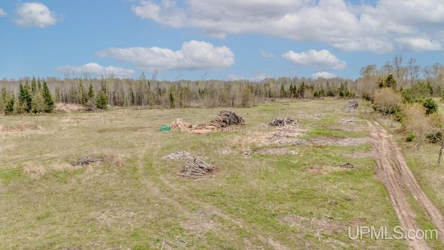 TBD June Road, Trenary, MI 49878