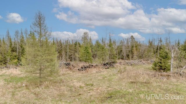 TBD June Road, Trenary, MI 49878