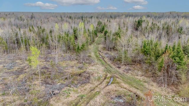 TBD June Road, Trenary, MI 49878