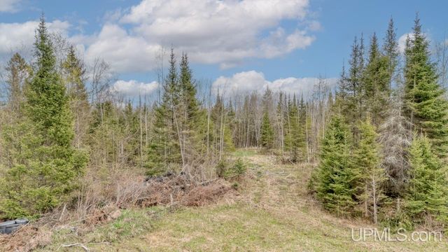 TBD June Road, Trenary, MI 49878