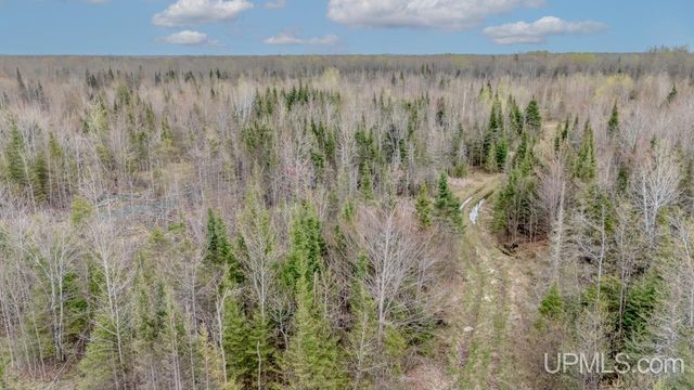 TBD June Road, Trenary, MI 49878