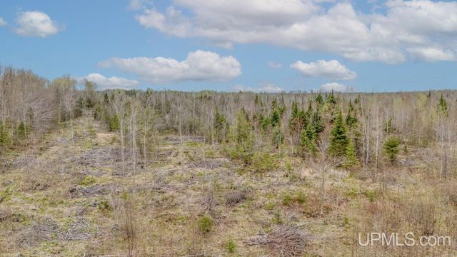 TBD June Road, Trenary, MI 49878