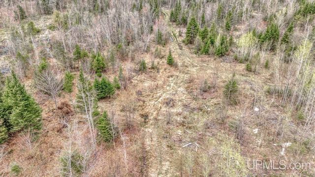 TBD June Road, Trenary, MI 49878