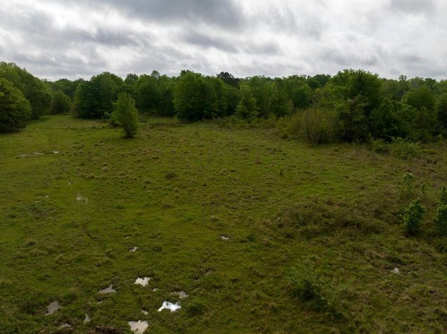 0 Fodice Road, Crockett, TX 75835