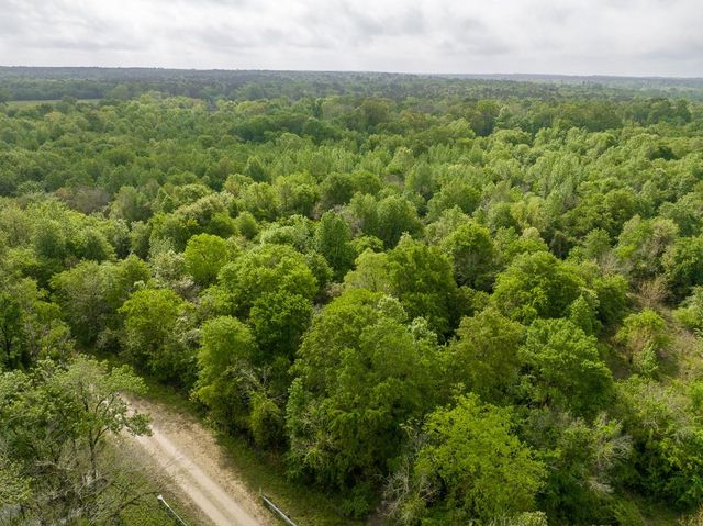 0 Fodice Road, Crockett, TX 75835