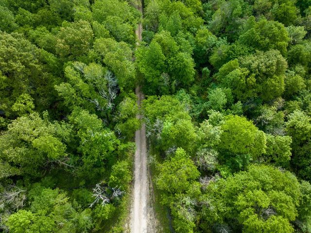0 Fodice Road, Crockett, TX 75835